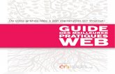 "Guide Des Meilleures Pratiques Web" AllianceNumerique.com