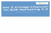 Die 5 Erfolgs-Chancen im B2B Marketing 2.0