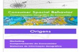 Apresentação Consumer Space Behavior (1º ANO)