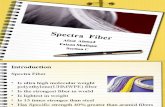 Spectra Fiber