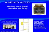 Bai Giang Amino Acid 97-03