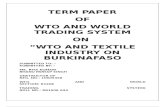 Wto Term Paper 1