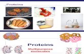 Ch3 proteins(KF)