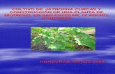 Documento de Proyecto Plantacion de Jatropha Curcas Honduras