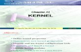 Ch11 Kernel