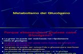 Clase glucogeno 2008