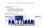 Final Report of Unemployment