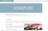 cv_38_Oncología oral en perro y gato