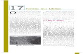 Ch_17 ncert science