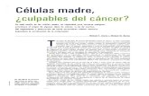 Celulas Madres y Cancer