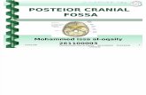 Posterior Cranial Fossa-Decamber2009