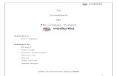 Vedanta Report