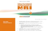 Snapshot NRI Online 2008