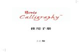 Boris Calligraphy 使用手册