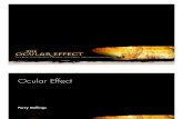 WK8 (10-22-08) Ocular Effect ARG Presentation
