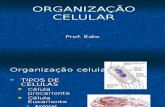 Biologia PPT - Org Celular e Ultra Estrutura