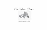 The lilac thief