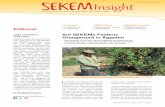 SEKEM Insight 03.15 DE