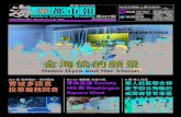 Metro Chinese Weekly | 海华都市报 #427 A