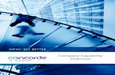 Concorde IT Group Overview
