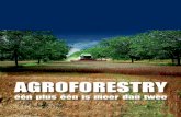 Agroforestry - één plus één is meer dan twee (brochure Nederlands)