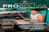 PRO BOLIVIA revista bi-mensual N° 5