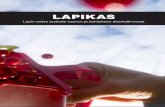 Lapikas - Lapin Aluemalli