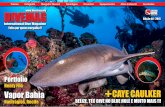 DIVEMAG | Edição 40 | International Dive Magazine
