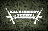 Kalashnikov Seeds Catalog