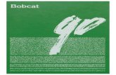 Bobcat 1990
