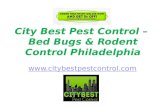 Rodent Control Philadelphia -