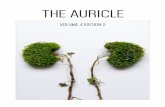 The Auricle Vol 4 Edn 2