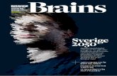Brains 2 2015