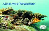 Coral Vivo Responde
