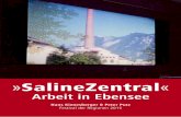 SalineZentral – Arbeit in Ebensee