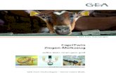 Dairyfarming capritwin brosch%c3%bcre de 0315 tcm30 22294