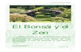 El bonsai y el zen (1)