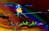 Flying Bubka (arabic language)
