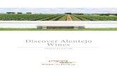 Discover Alentejo Wines (EN)