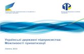 Можливості для приватизації в Україні