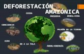 Deforestación Amazónica