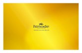 Plano Hinode 2015