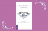 (FR) La Pierre Précieuse - Le trésor caché