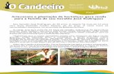 Artesanato e plantação de hortaliças gera renda para a família de seu Geraldo José Rodrigues