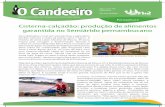 Cisterna-calçadão: produção de alimentos garantida no Semiárido pernambucano