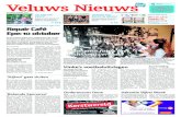 Veluws Nieuws week41