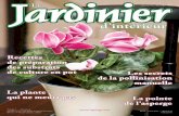 Magazine Le Jardinier d'intérieur — Volume 3, No. 6 (Nov. / déc. 2008)