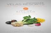 Newsletter #10 | Velas Resorts | FR
