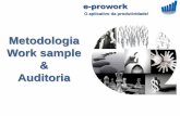 Metodologia Work sample, Auditoria e Plano de Ação