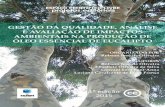Gestão da qualidade,análise e avaliação de impactos ambientais na produção de óleo ess. de eucalipto